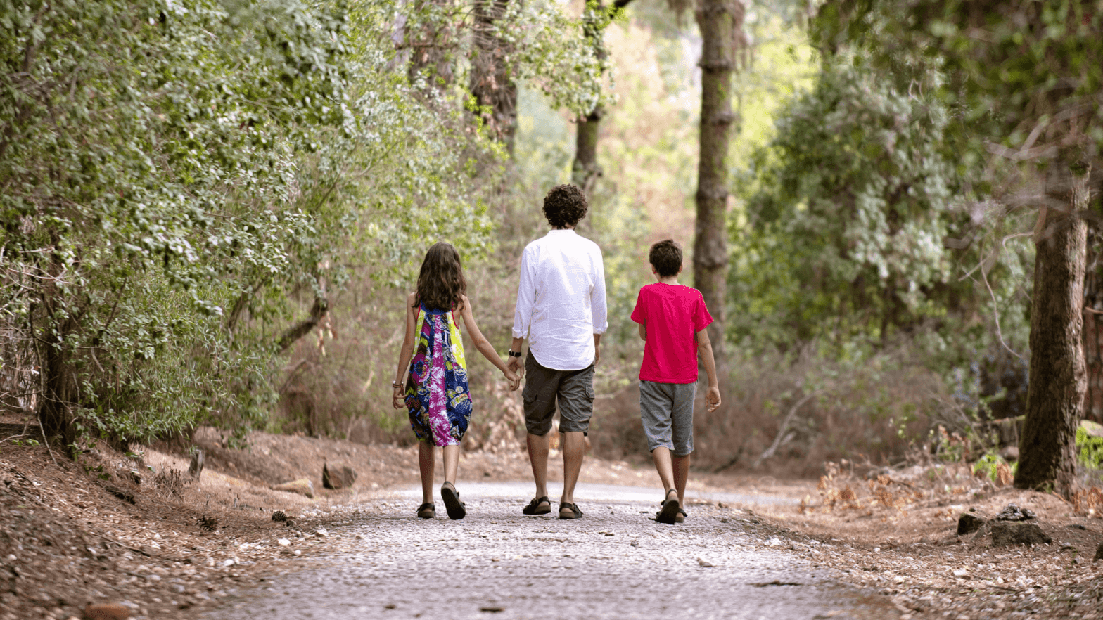 Eu e os meus filhos a caminhar na floresta