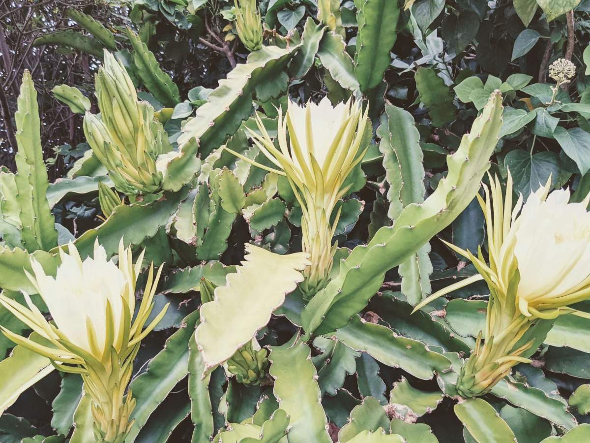 Entre escritas e&nbsp;reescritas