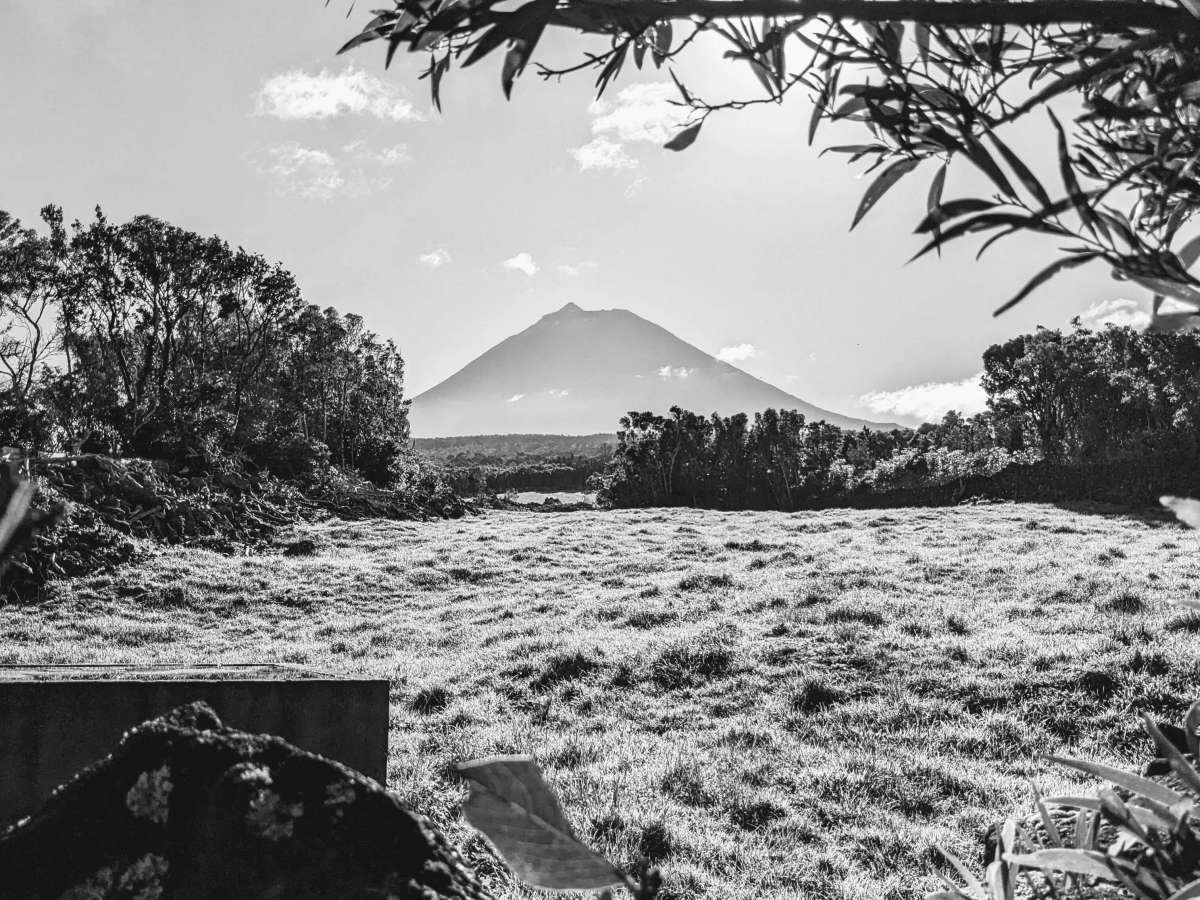 Viver o Montanha Pico&nbsp;Festival