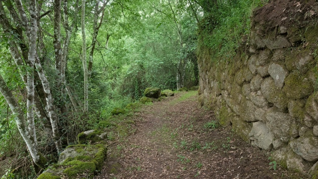 Uma curva num caminho de Tormes